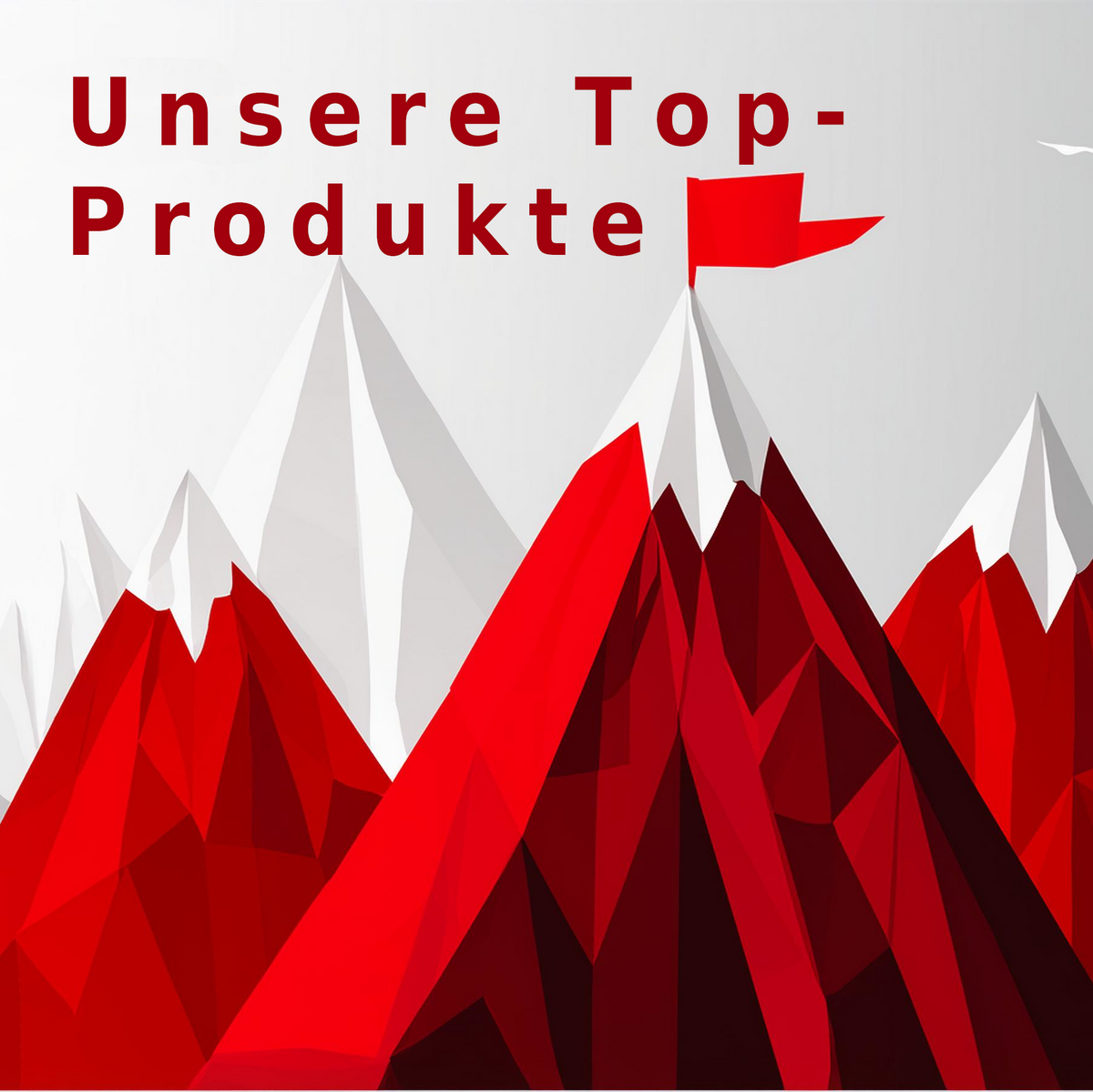 Unsere Top-Produkte